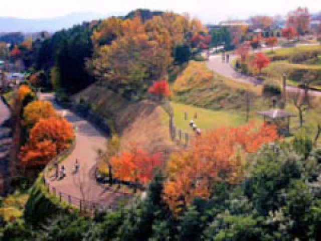 【紅葉・見ごろ】秦野戸川公園_1
