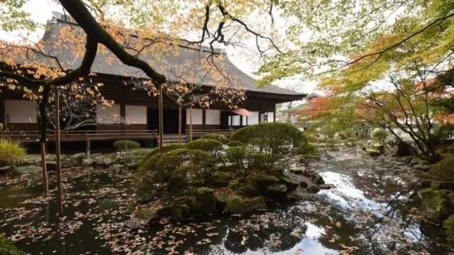 【紅葉・見ごろ】圓満院門跡_1