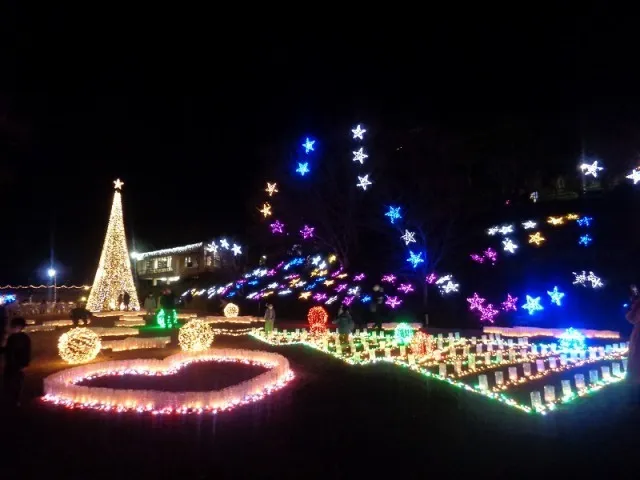 花と光のページェント（夜間開園）_1