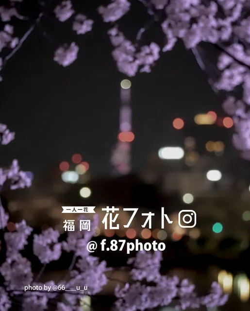 一人一花 福岡花フォト　Archive 2025-2026　FUKUOKA 花のある風景展_1