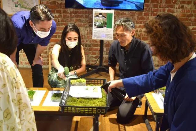 モスモスな苔にさわる！→お庭で観察会。_1