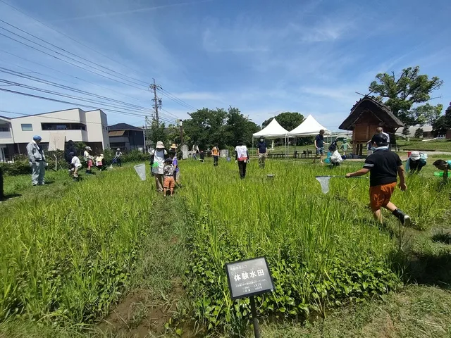 弥生ムラづくりプロジェクト「いきもの観察会」_1