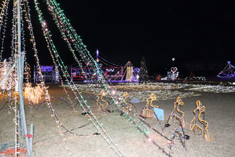 イルミネーションフェスタ2025