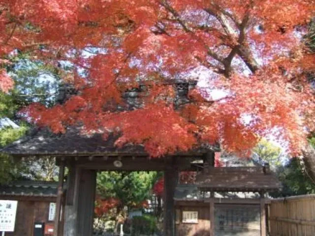 【紅葉・見ごろ】古長禅寺_1