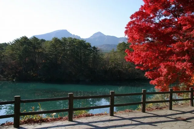 【紅葉・見ごろ】五色沼湖沼群_1