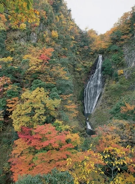 【紅葉・見ごろ】船上山_1