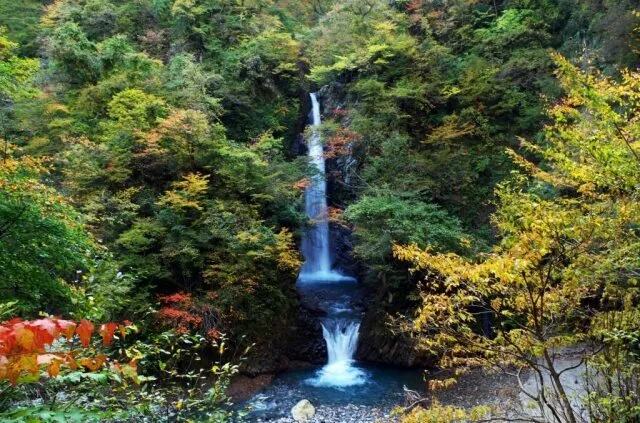【紅葉・見ごろ】大山滝_1