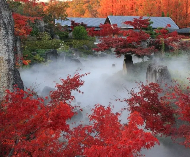 【紅葉・見ごろ】愛・地球博記念公園　日本庭園_1