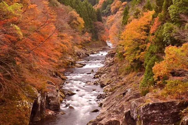 【紅葉・見ごろ】富郷渓谷_1