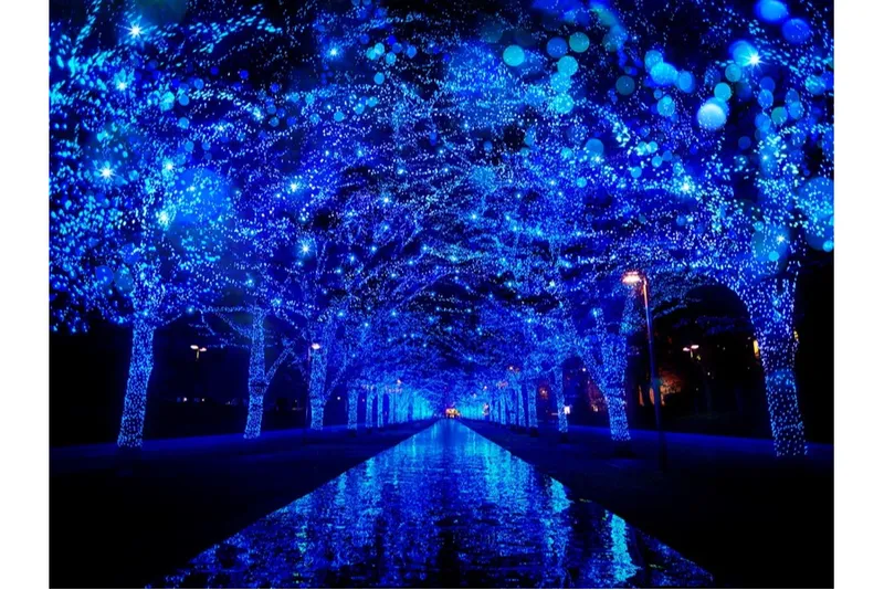 青の洞窟 SHIBUYA