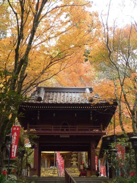 【紅葉・見ごろ】龍蔵寺_1