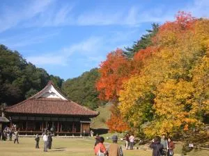【紅葉・見ごろ】日本遺産「旧閑谷学校」_1