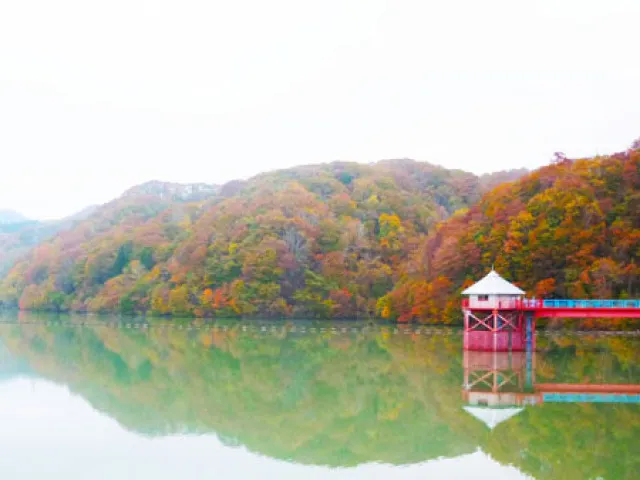【紅葉・見ごろ】上磯ダム公園_1