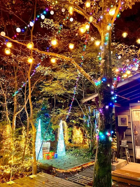 サンタヒルズのクリスマスイルミネーション_1