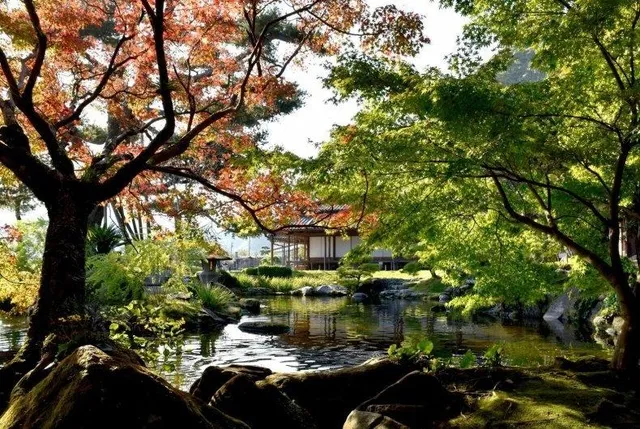 【紅葉・見ごろ】仙巌園_1