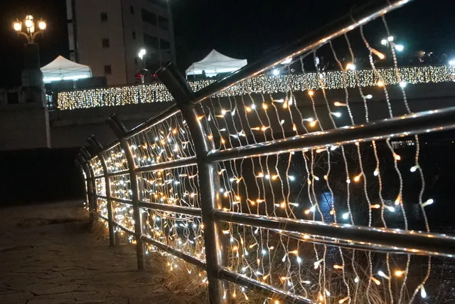 宮の橋・田川 X'mas! 2025_1
