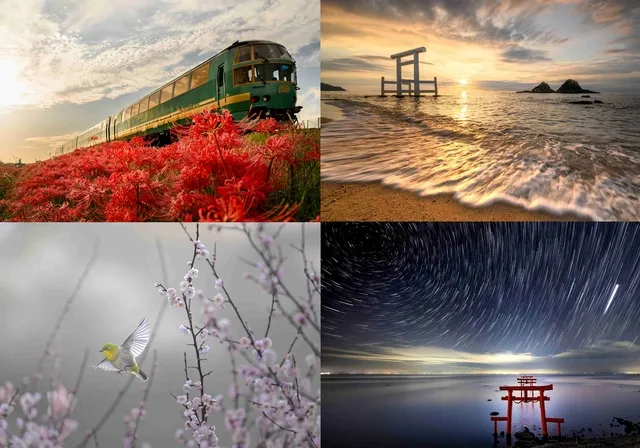 KOICHIRO IKEDA 個展：花鳥風月―九州北部色彩の断片―