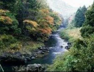 【紅葉・見ごろ】丹生川渓谷_1