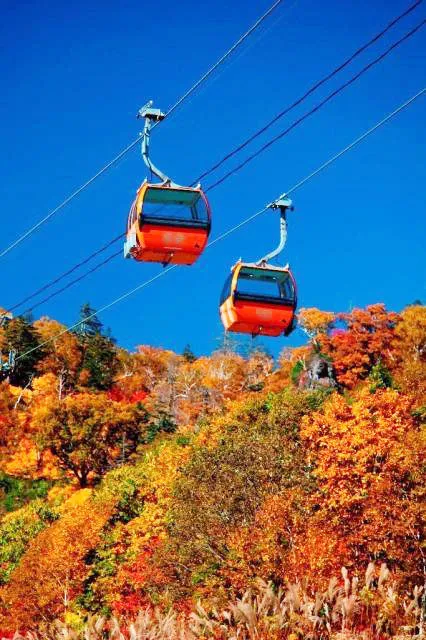 札幌国際スキー場 秋祭り～紅葉ゴンドラと秋の味覚祭！_1