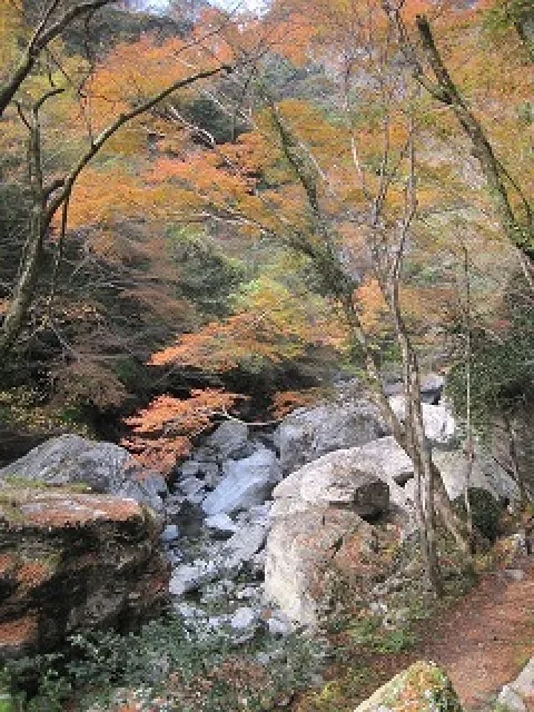 【紅葉・見ごろ】中津渓谷_1