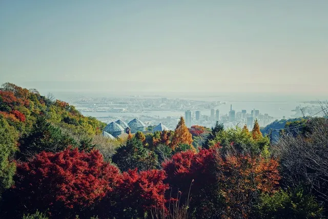 【紅葉・見ごろ】神戸布引ハーブ園／ロープウェイ_1