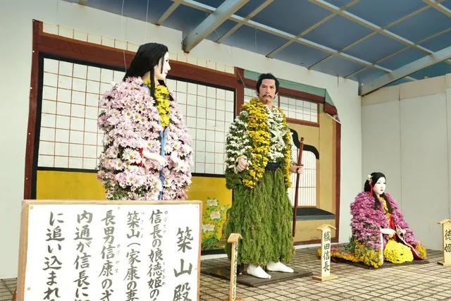 第85回鴨島大菊人形・第94回四国菊花品評会_1
