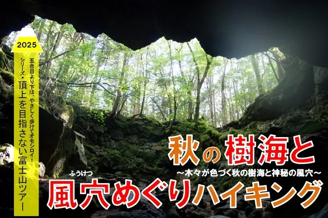 頂上を目指さない富士山ツアー2025「秋の樹海と風穴めぐりハイキング」_1