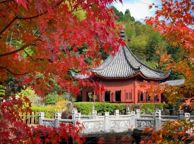 【紅葉・見ごろ】冠岳_1