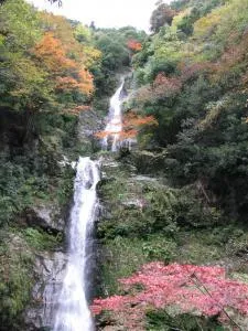 【紅葉・見ごろ】鳴滝_1