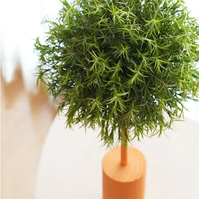 夏休み KIDSフラワー教室「植物で作る太陽のオブジェ」_1