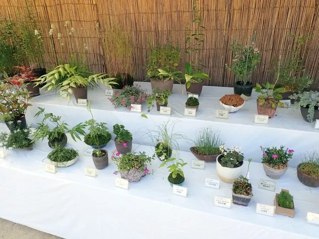 秋の山野草実演会_1