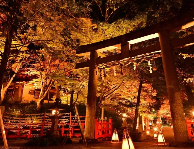 【紅葉・見ごろ】出雲大神宮_1