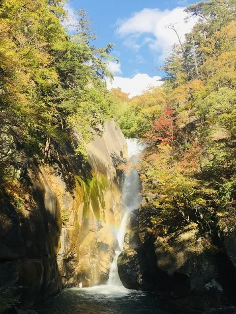 【紅葉・見ごろ】仙娥滝_1