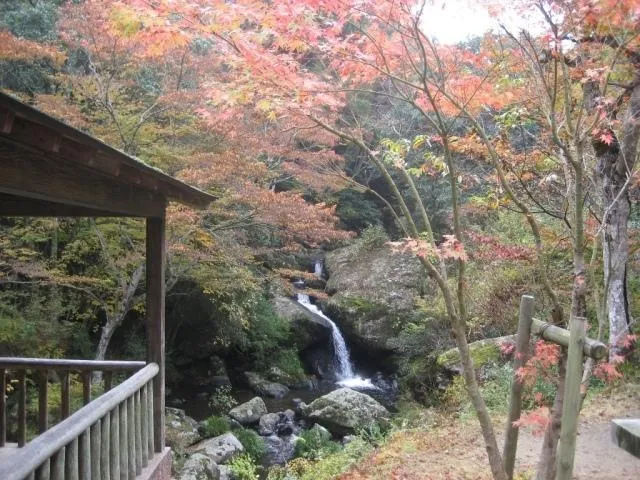 【紅葉・見ごろ】るり渓_1