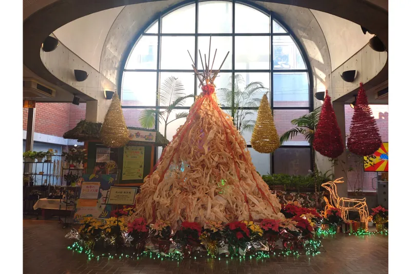 熱帯のクリスマス展