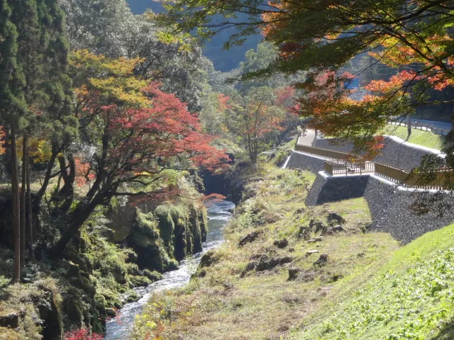 【紅葉・見ごろ】新川渓谷遊歩道周辺_1