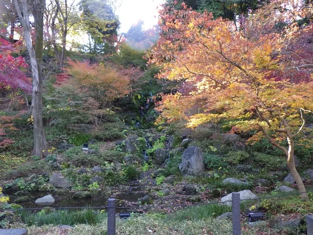 【紅葉・見ごろ】芝公園_1