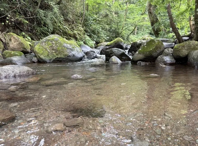 親子でワクワク！川で遊ぶ笹船レース・竹水鉄砲作り体験と生物観察！_1