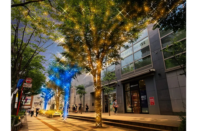 アルカタワーズ錦糸町イルミネーション2025-2026