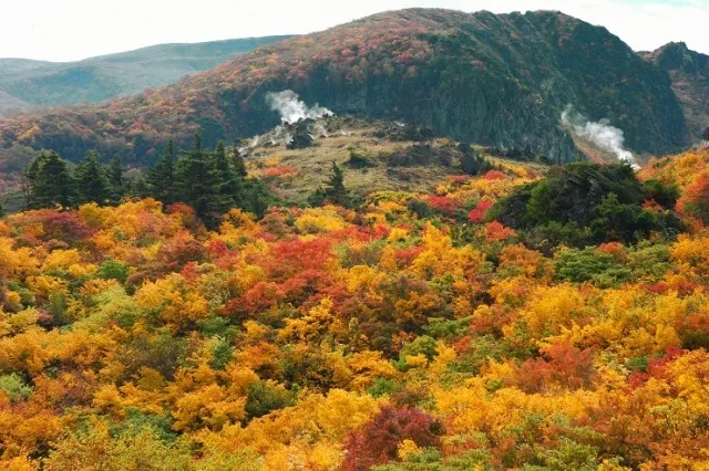 【紅葉・見ごろ】栗駒山（須川高原）_1