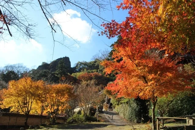 【紅葉・見ごろ】文殊仙寺_1