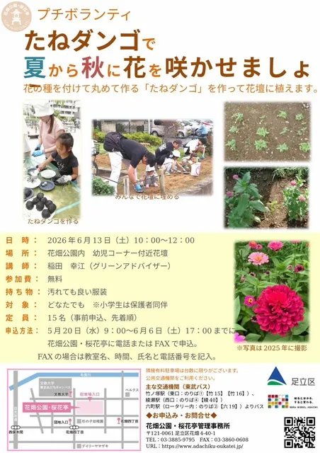 プチボランティア　たねダンゴで夏から秋に花を咲かせましょう_1