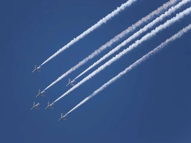 航空自衛隊入間基地　入間航空祭見学と豚のテーマパーク　サイボク見学_1