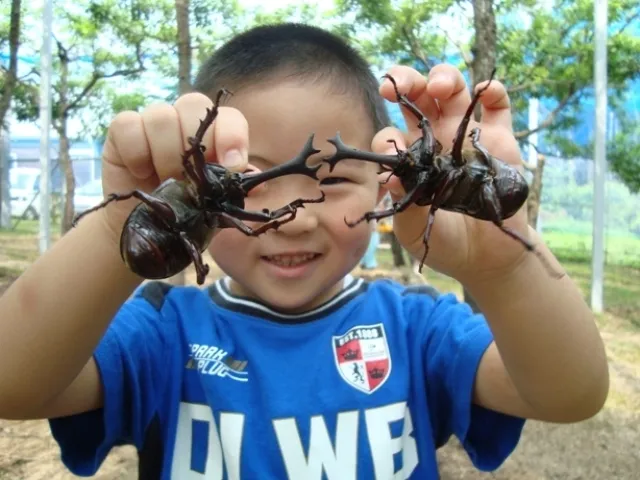 むつみ昆虫王国_1