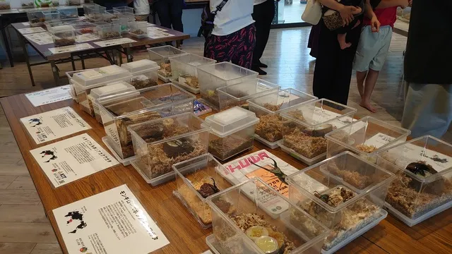 金沢工業大学むしの会　世界のカブ・クワ展示会_1