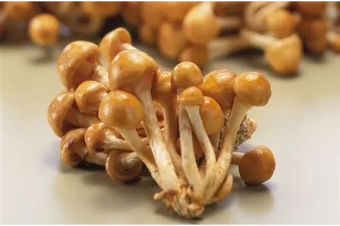 第16回 COSME Week 東京