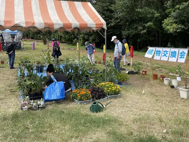公園で植物交換会_1