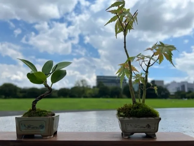 国営昭和記念公園 盆栽教室2025「ミニ盆栽づくり」