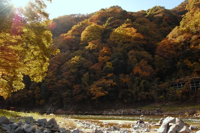 【紅葉・見ごろ】奥久慈渓谷_1
