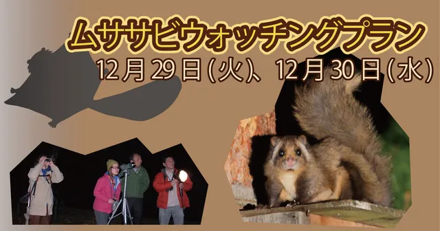 ムササビウォッチングプラン_1